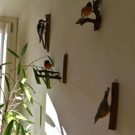Stazzema B&B Convivium المظهر الخارجي الصورة